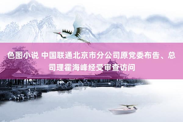 色图小说 中国联通北京市分公司原党委布告、总司理霍海峰经受审查访问