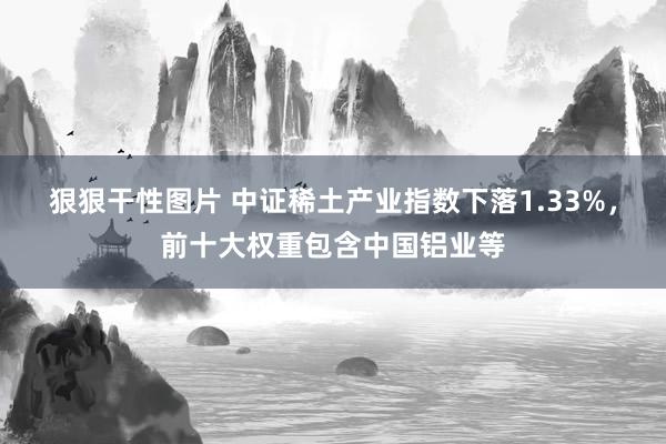 狠狠干性图片 中证稀土产业指数下落1.33%，前十大权重包含中国铝业等