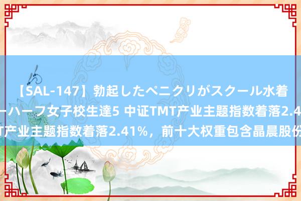 【SAL-147】勃起したペニクリがスクール水着を圧迫してしまうニューハーフ女子校生達5 中证TMT产业主题指数着落2.41%，前十大权重包含晶晨股份等