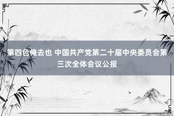 第四色俺去也 中国共产党第二十届中央委员会第三次全体会议公报