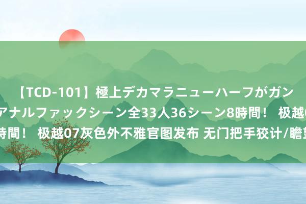 【TCD-101】極上デカマラニューハーフがガン掘り前立腺直撃快感逆アナルファックシーン全33人36シーン8時間！ 极越07灰色外不雅官图发布 无门把手狡计/瞻望9月份上市