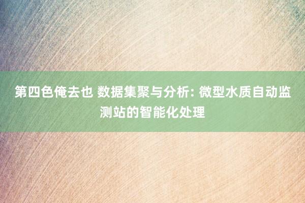 第四色俺去也 数据集聚与分析: 微型水质自动监测站的智能化处理