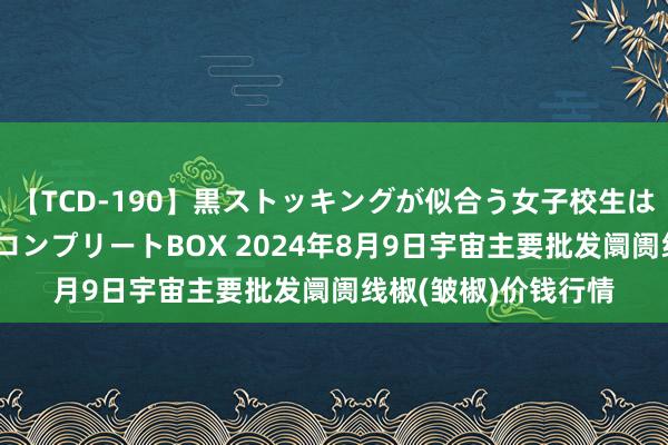 【TCD-190】黒ストッキングが似合う女子校生は美脚ニューハーフ コンプリートBOX 2024年8月9日宇宙主要批发阛阓线椒(皱椒)价钱行情