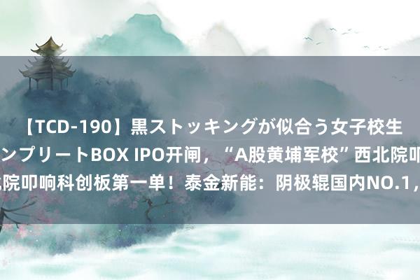 【TCD-190】黒ストッキングが似合う女子校生は美脚ニューハーフ コンプリートBOX IPO开闸，“A股黄埔军校”西北院叩响科创板第一单！泰金新能：阴极辊国内NO.1，近三年营收CAGR近80%