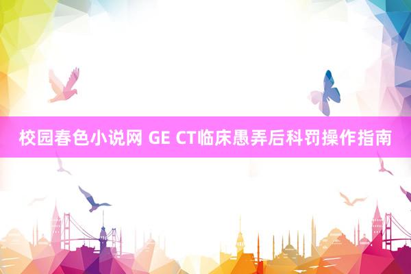 校园春色小说网 GE CT临床愚弄后科罚操作指南