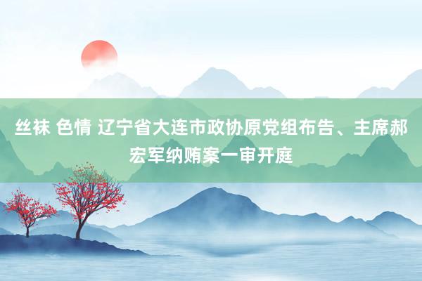 丝袜 色情 辽宁省大连市政协原党组布告、主席郝宏军纳贿案一审开庭