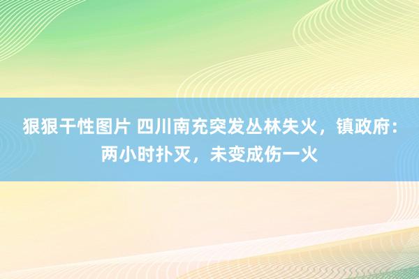 狠狠干性图片 四川南充突发丛林失火，镇政府：两小时扑灭，未变成伤一火