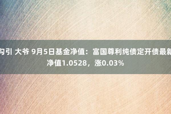 勾引 大爷 9月5日基金净值：富国尊利纯债定开债最新净值1.0528，涨0.03%