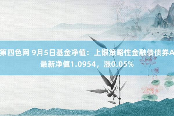 第四色网 9月5日基金净值：上银策略性金融债债券A最新净值1.0954，涨0.05%