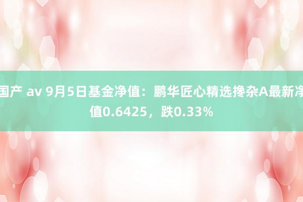 国产 av 9月5日基金净值：鹏华匠心精选搀杂A最新净值0.6425，跌0.33%