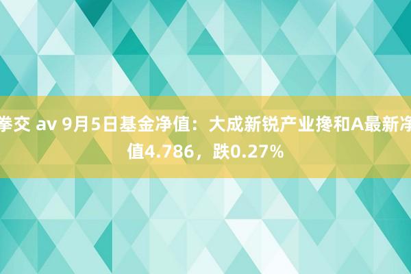 拳交 av 9月5日基金净值：大成新锐产业搀和A最新净值4.786，跌0.27%