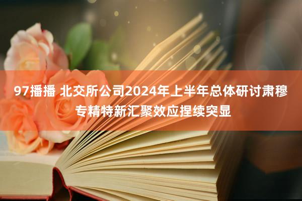 97播播 北交所公司2024年上半年总体研讨肃穆 专精特新汇聚效应捏续突显