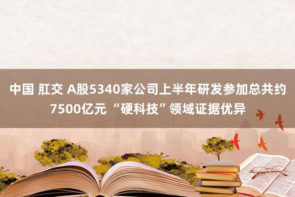 中国 肛交 A股5340家公司上半年研发参加总共约7500亿元 “硬科技”领域证据优异