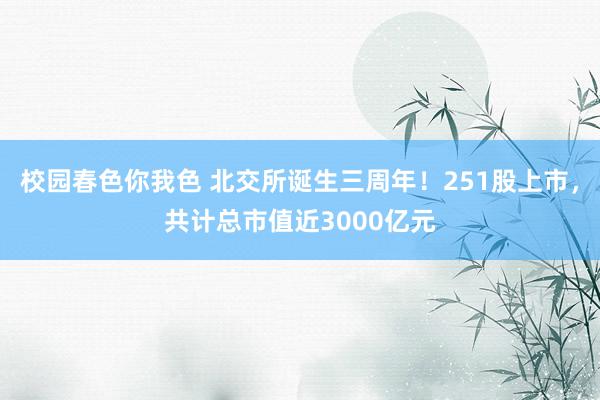 校园春色你我色 北交所诞生三周年！251股上市，共计总市值近3000亿元