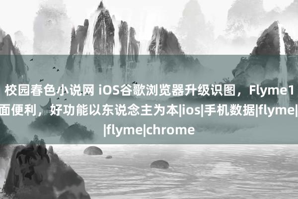 校园春色小说网 iOS谷歌浏览器升级识图，Flyme10识屏全面便利，好功能以东说念主为本|ios|手机数据|flyme|chrome