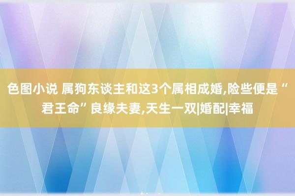 色图小说 属狗东谈主和这3个属相成婚，险些便是“君王命”良缘夫妻，天生一双|婚配|幸福