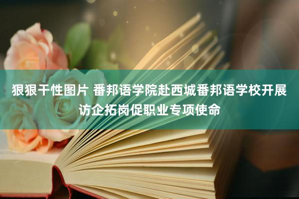 狠狠干性图片 番邦语学院赴西城番邦语学校开展访企拓岗促职业专项使命