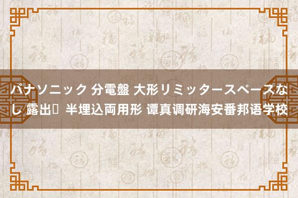 パナソニック 分電盤 大形リミッタースペースなし 露出・半埋込両用形 谭真调研海安番邦语学校